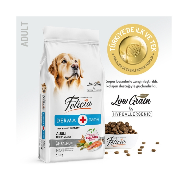 Felicia Somon Balıklı Yetişkin Köpek Maması 15kg Paket