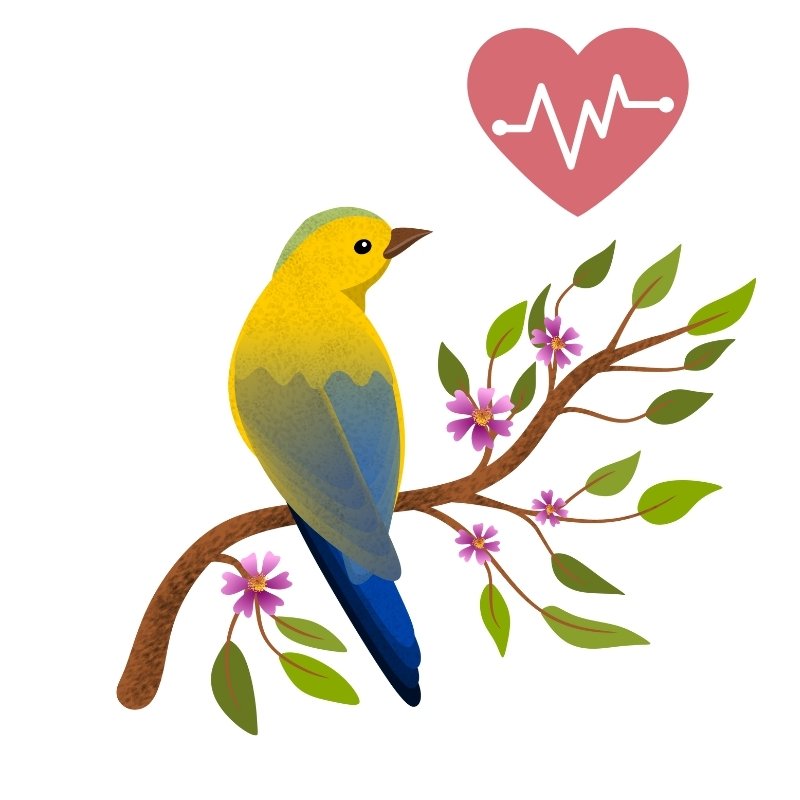 Kuş Sağlık ve Bakım Ürünleri