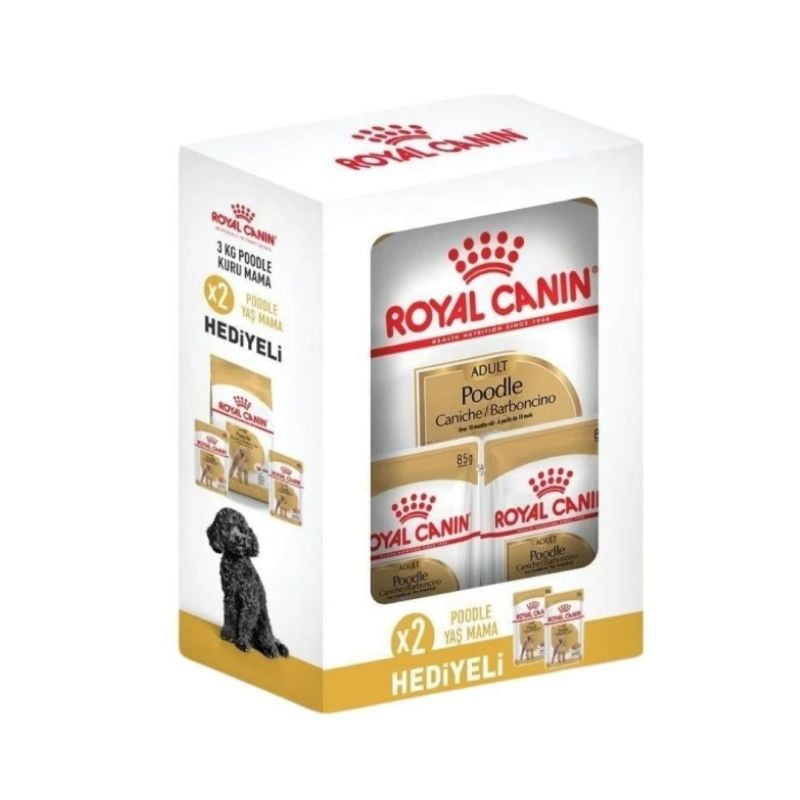 Royal Canin Poodle Adult Yetişkin Köpek Maması 3 Kg (2 Adet Yaş Mama Hediyeli)