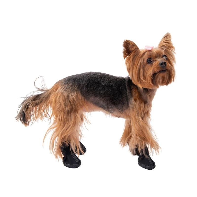 Pawstar Siyah Köpek Ayakkabısı