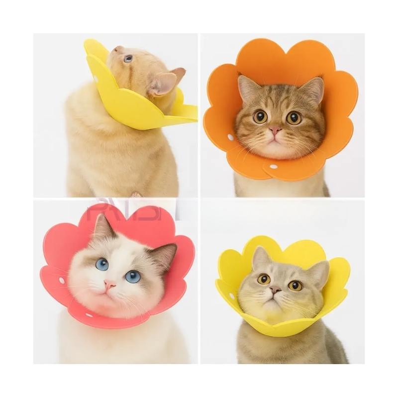 Evcil Hayvan Elizabeth Yakalık Keçeli