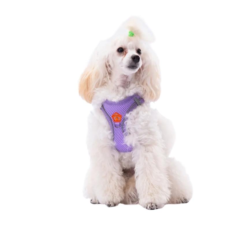 Alternative view of Pawstar Lila Air-mesh Göğüs Tasması