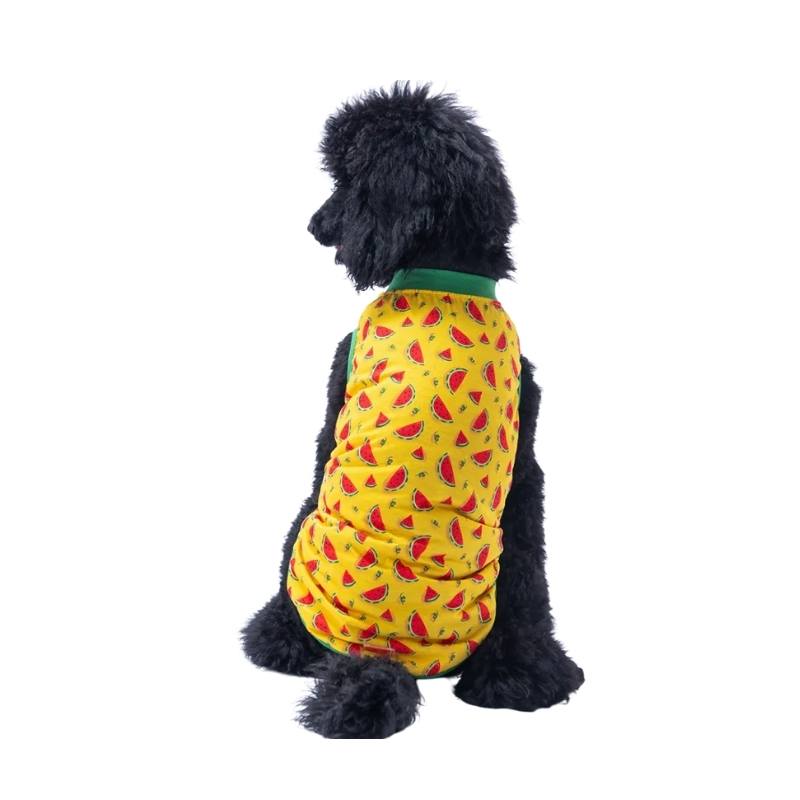 Pawstar WaterMelon Tişört Beden Seçenekli