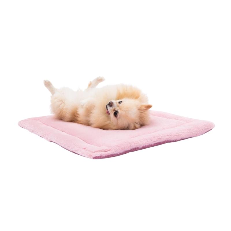 Pawstar Kedi Köpek Mat ve Battaniye 50x70 cm - Görsel 4