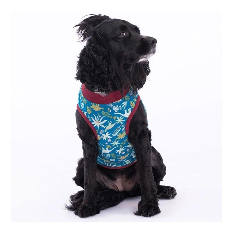 Alternative view of Pawstar Dino Kedi Köpek Tişört