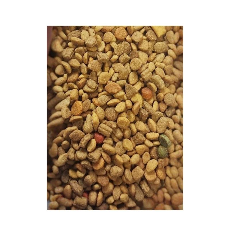Karışık Premium Ekonomik Kedi Maması 1 Kg Açık